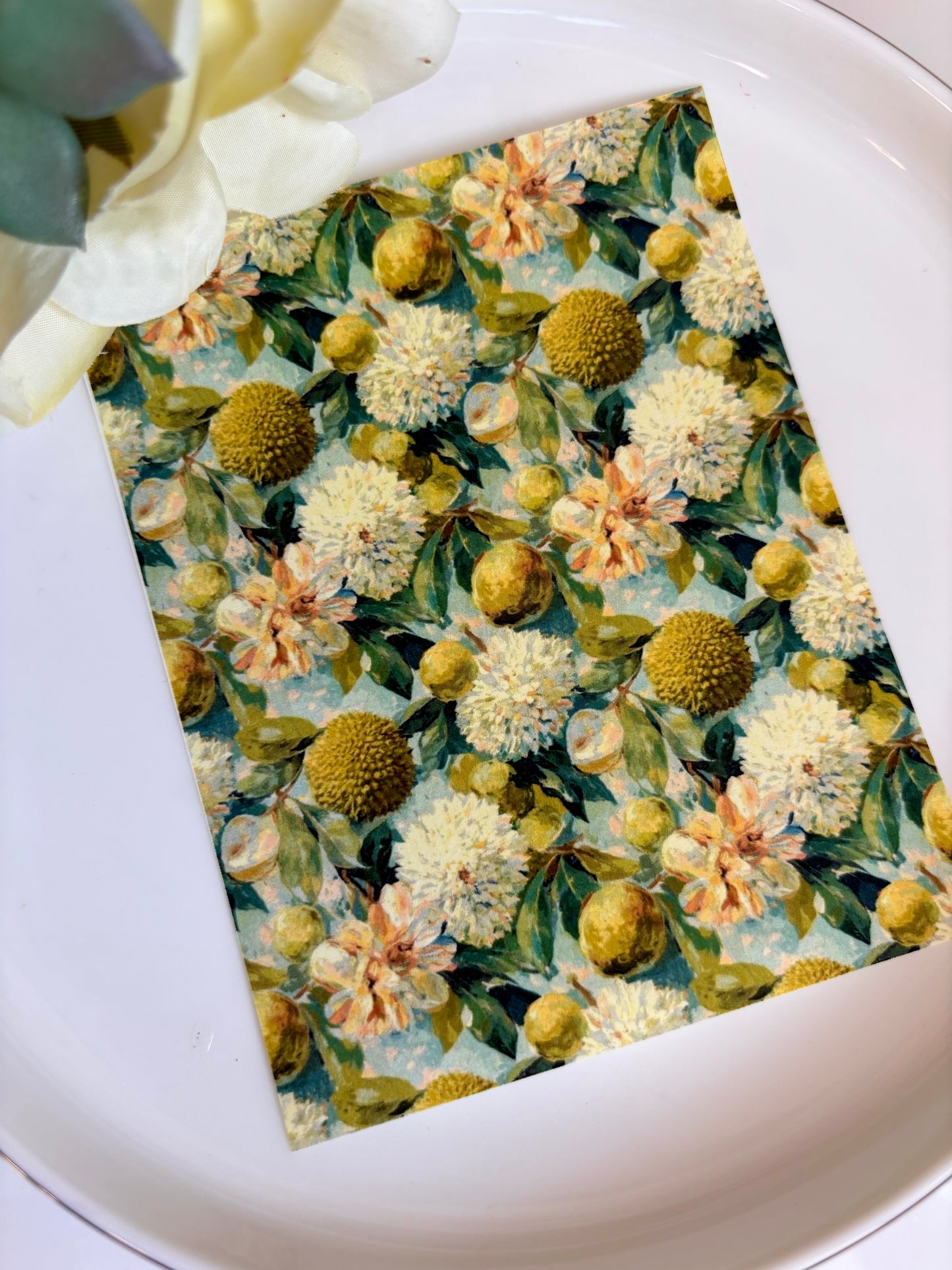 Lychee Oil Painting Transfer Paper