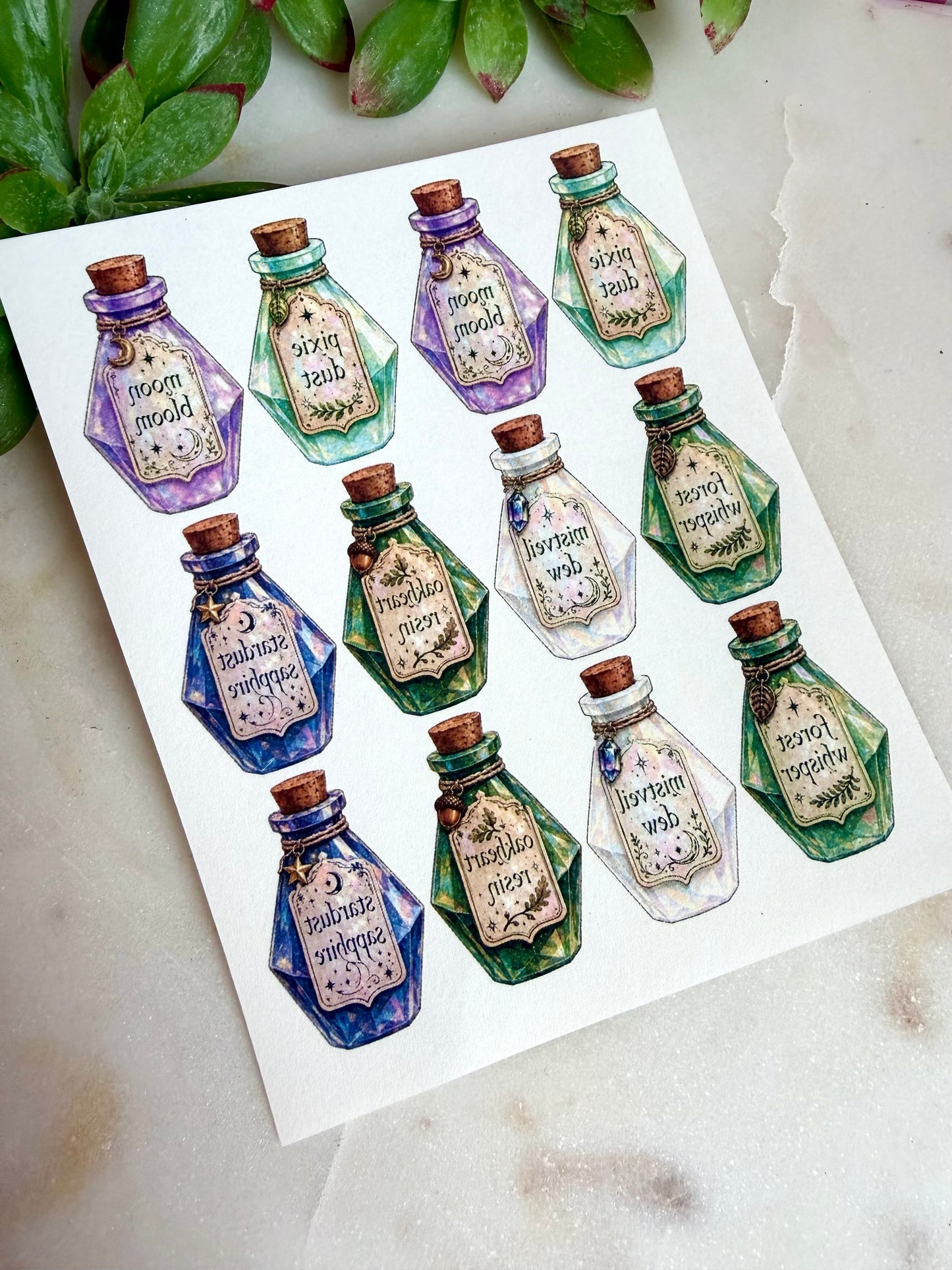 Fairy Apothecary Cutter & Transfers