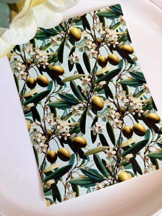 Olive Branches Transfer Paper