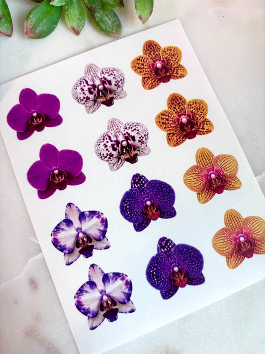 Orchid Transfers & Cutters