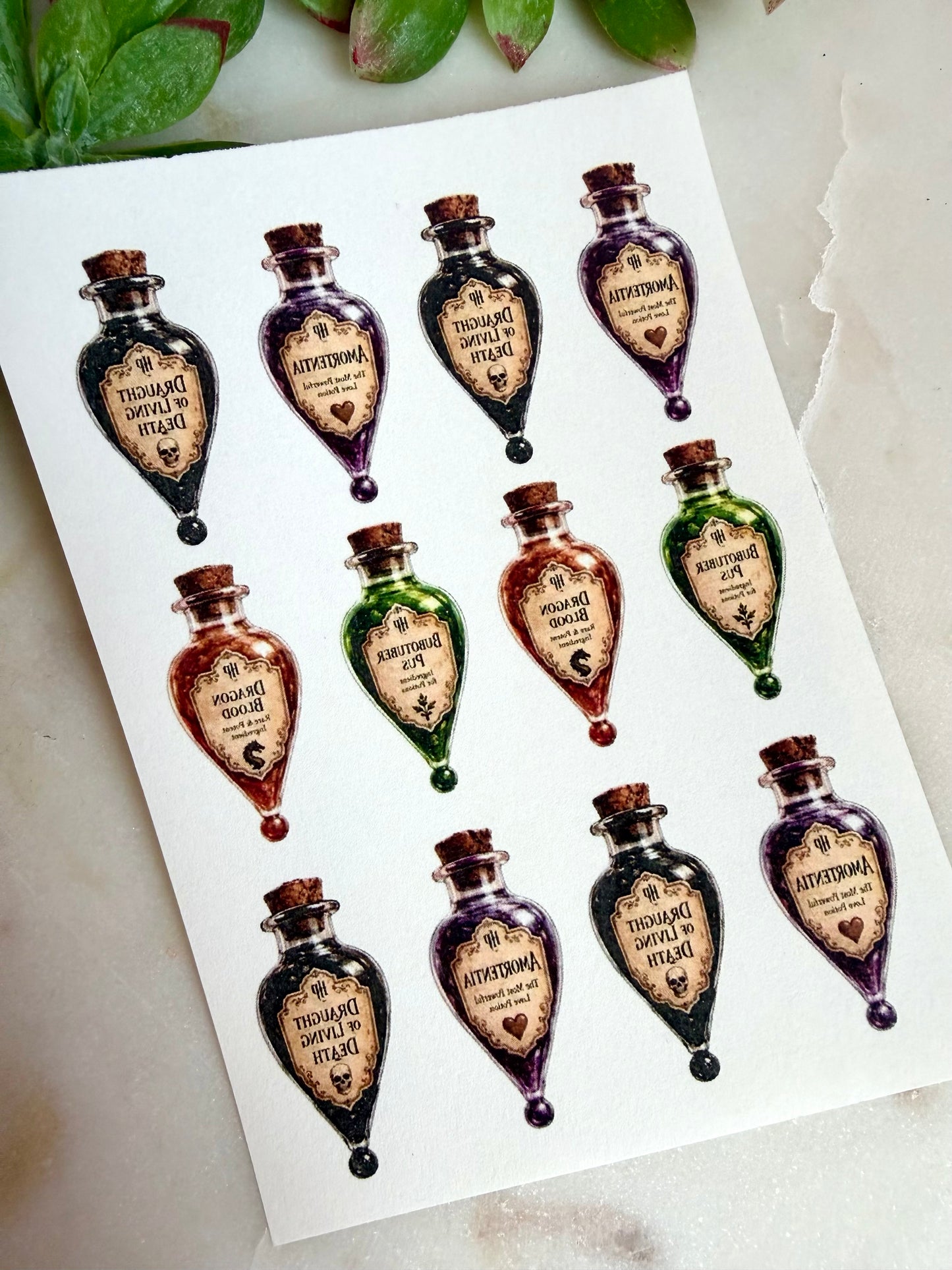Potions Class Cutter & Transfers