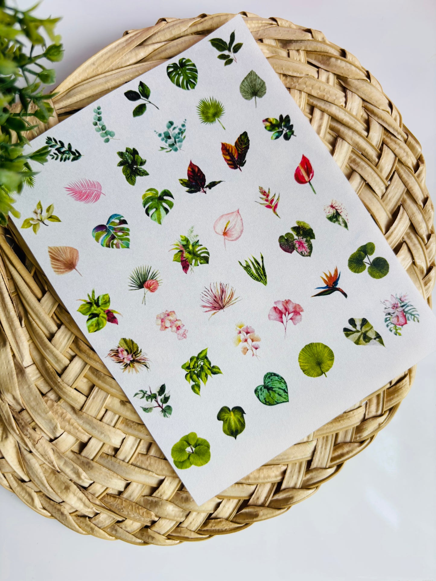 Botanical Beauty Charms Transfer Paper