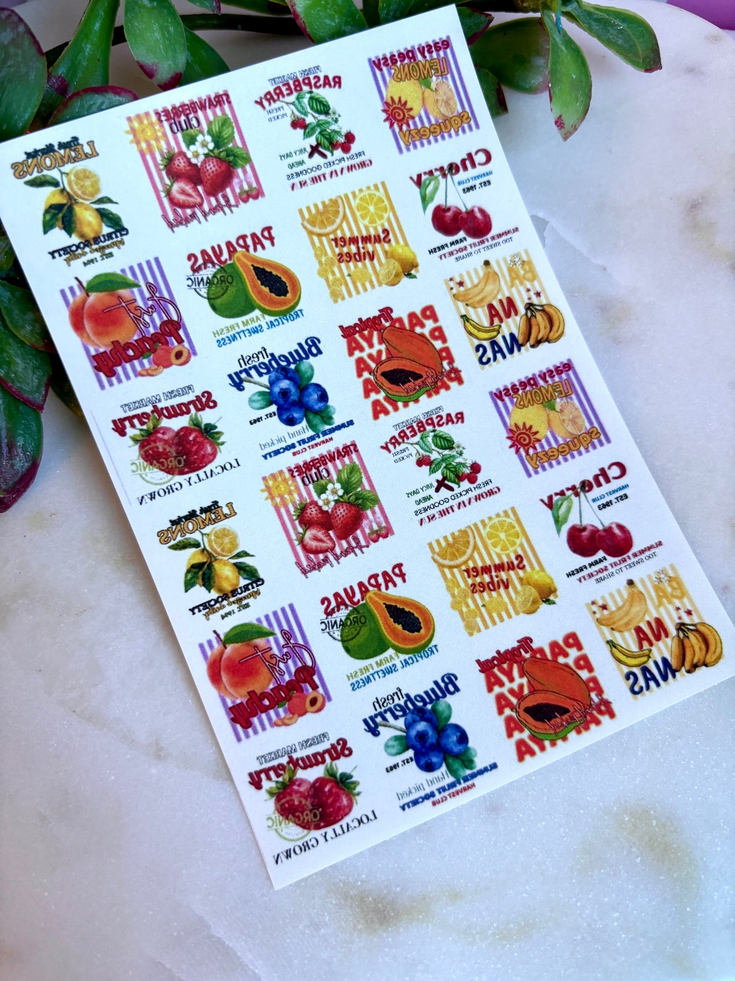 Colorful Fruit Sign Transfer Paper