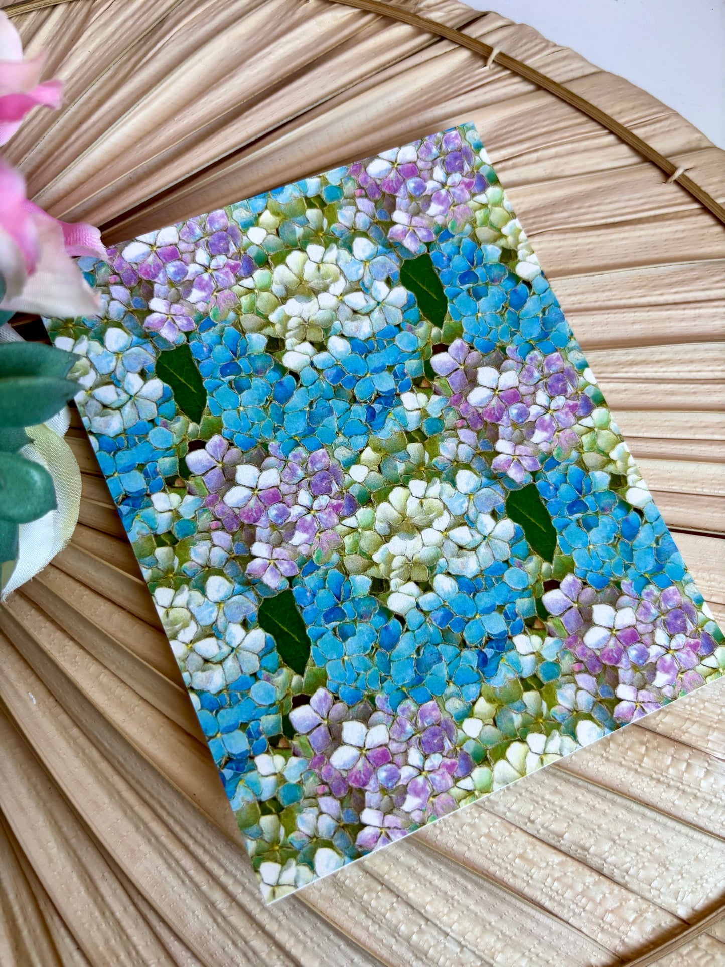 Hydrangea SG Transfer Paper