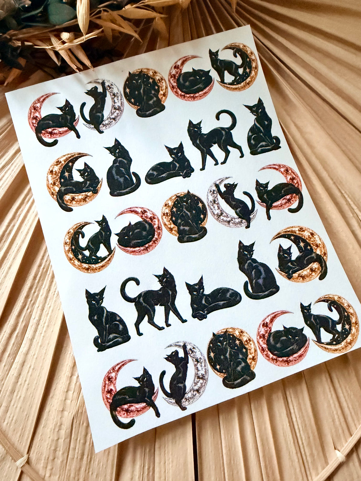 Black Cats Transfer Papers