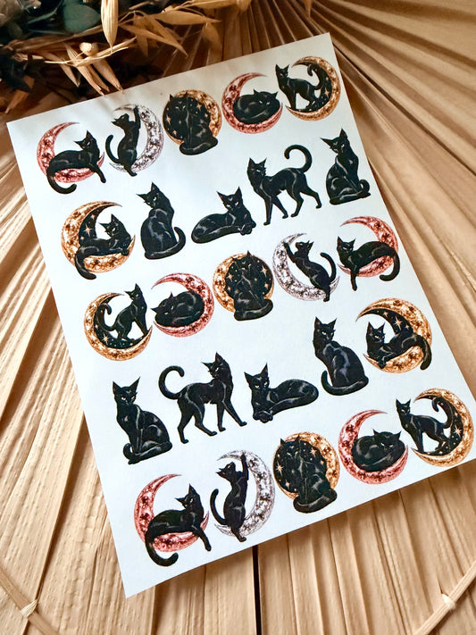 Black Cats Transfer Papers