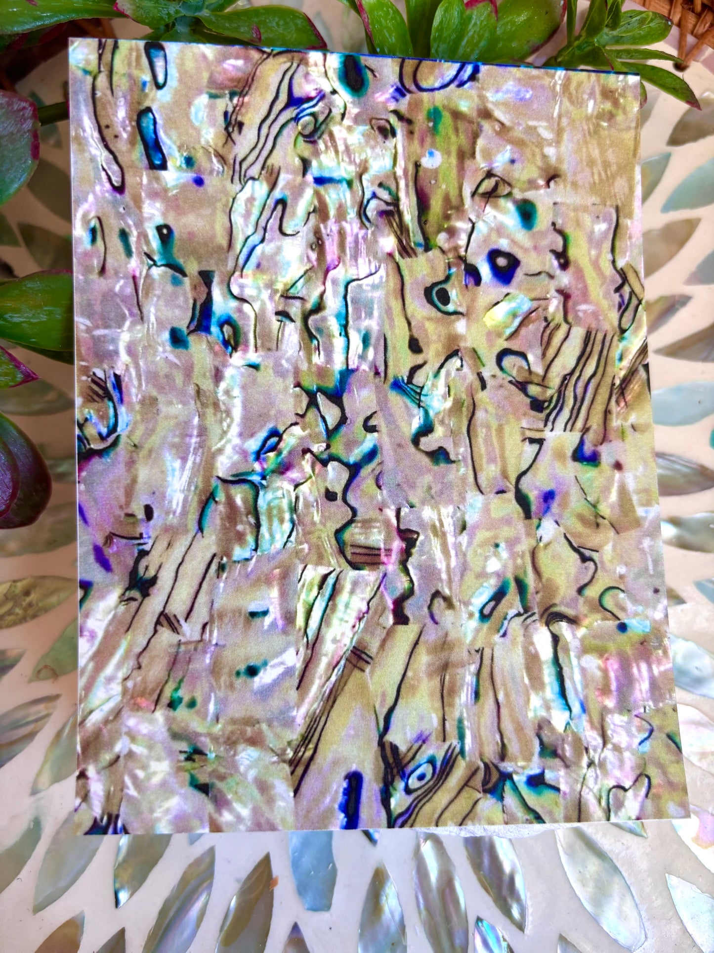 Abalone Shell Transfer Paper