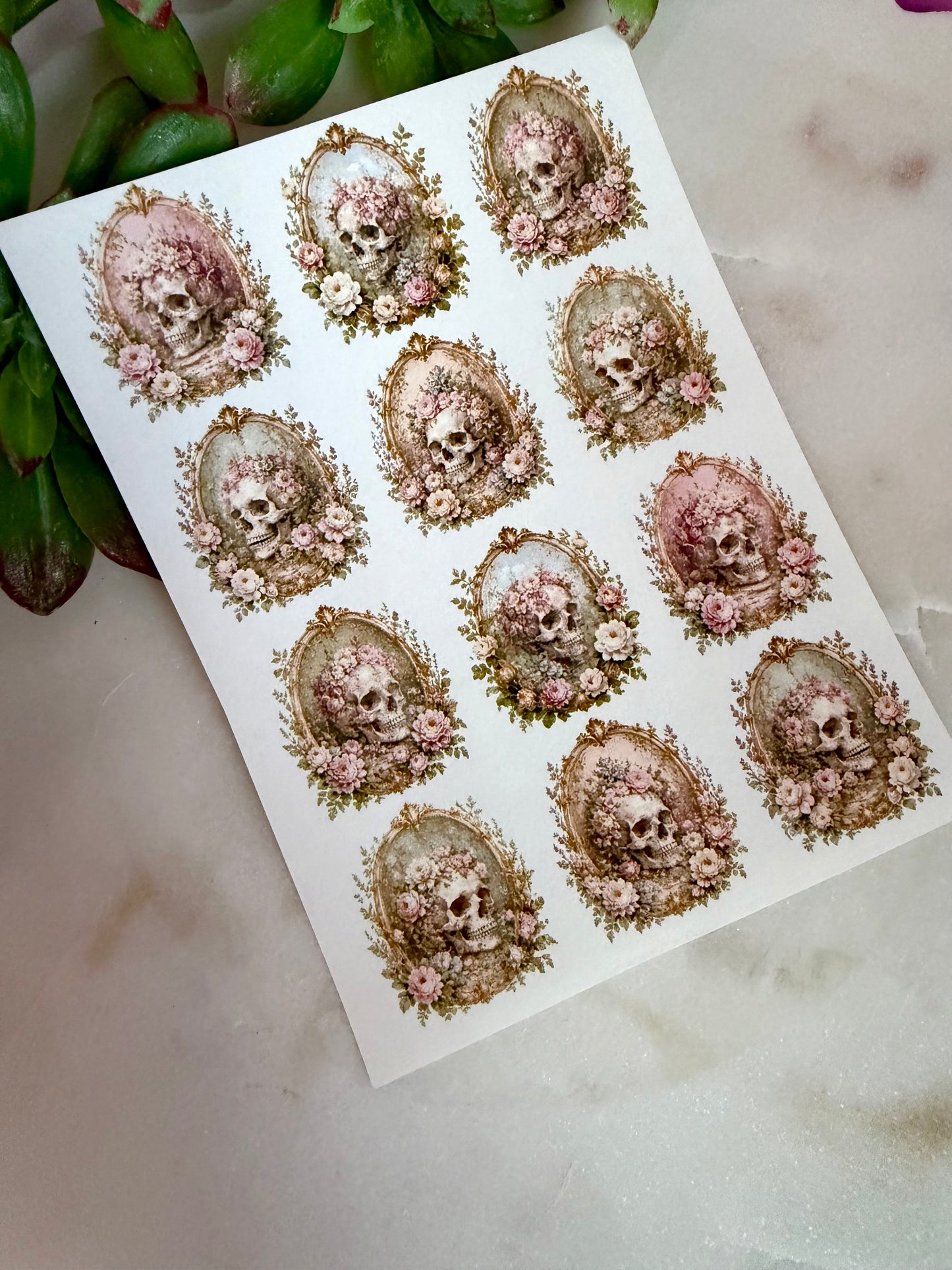 Pastel Skull Rococo Transfer Paper