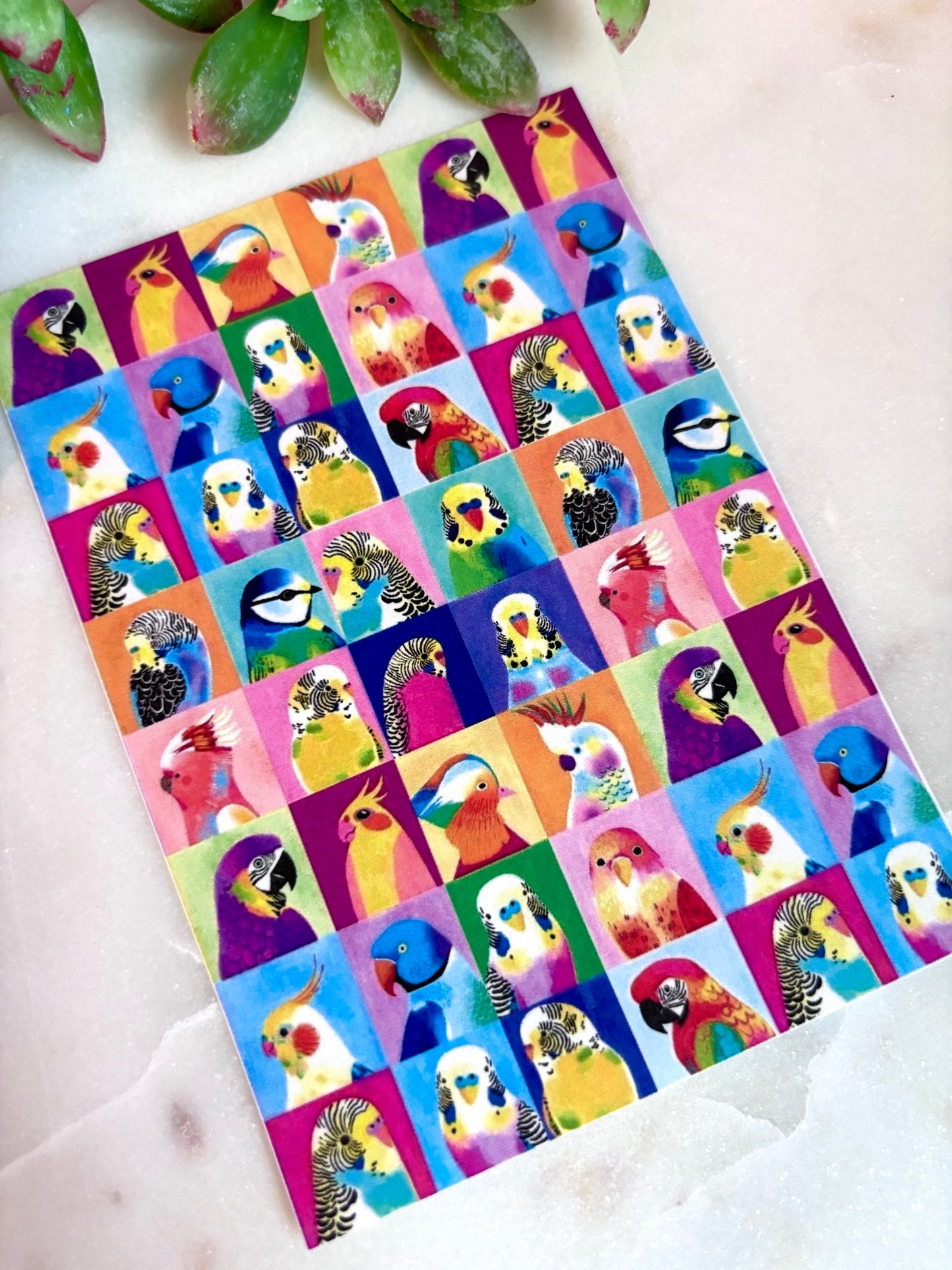 Parrot Squares Transfer Papers