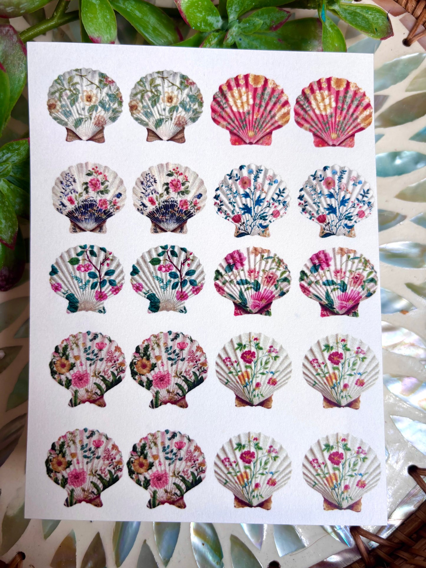 Floral Shell Cutter & Transfer Paper