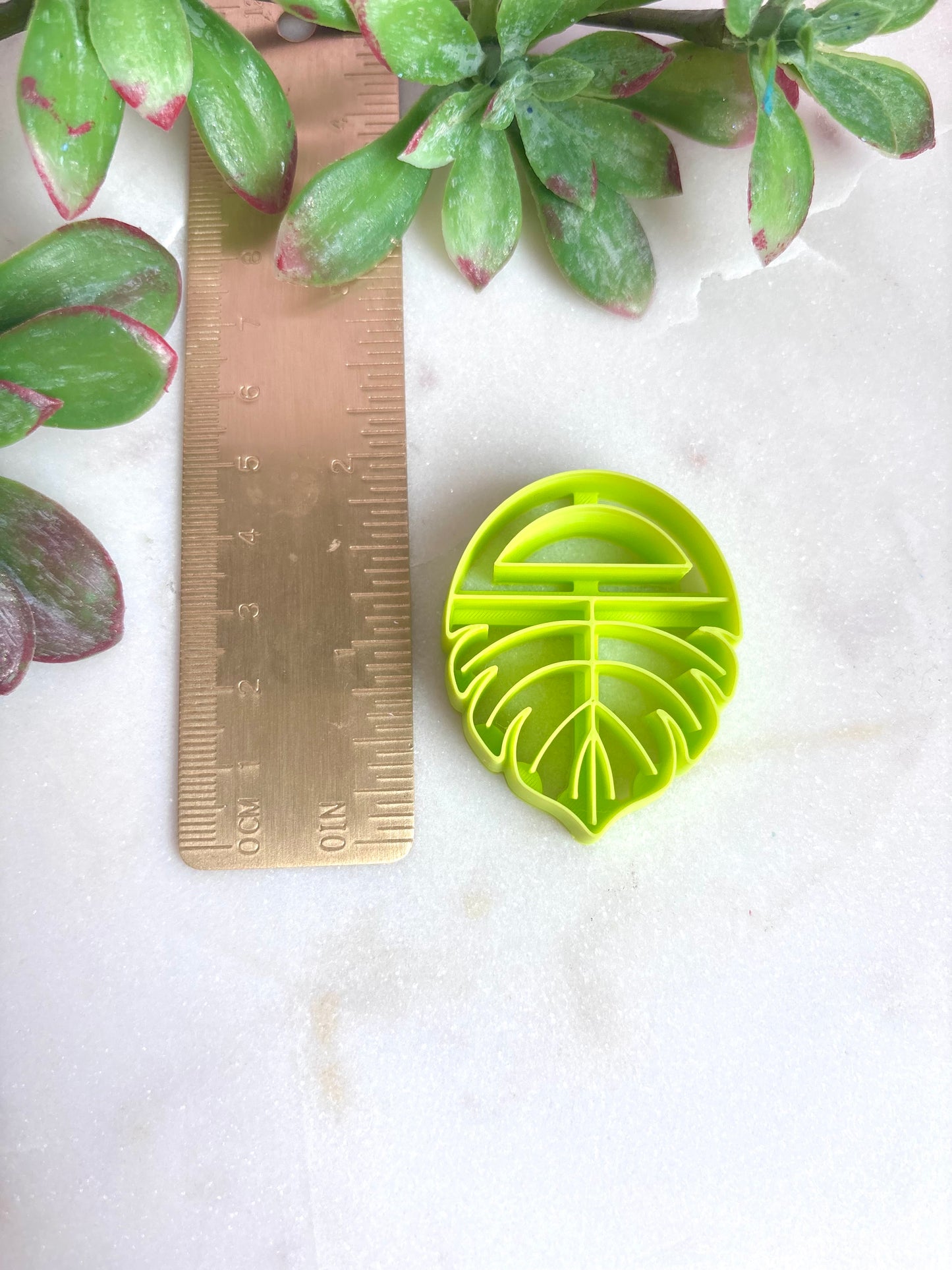 Monstera Hoop Cutter
