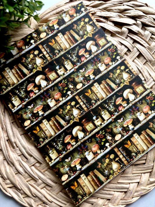 Apothecary Bookshelves Transfer Paper
