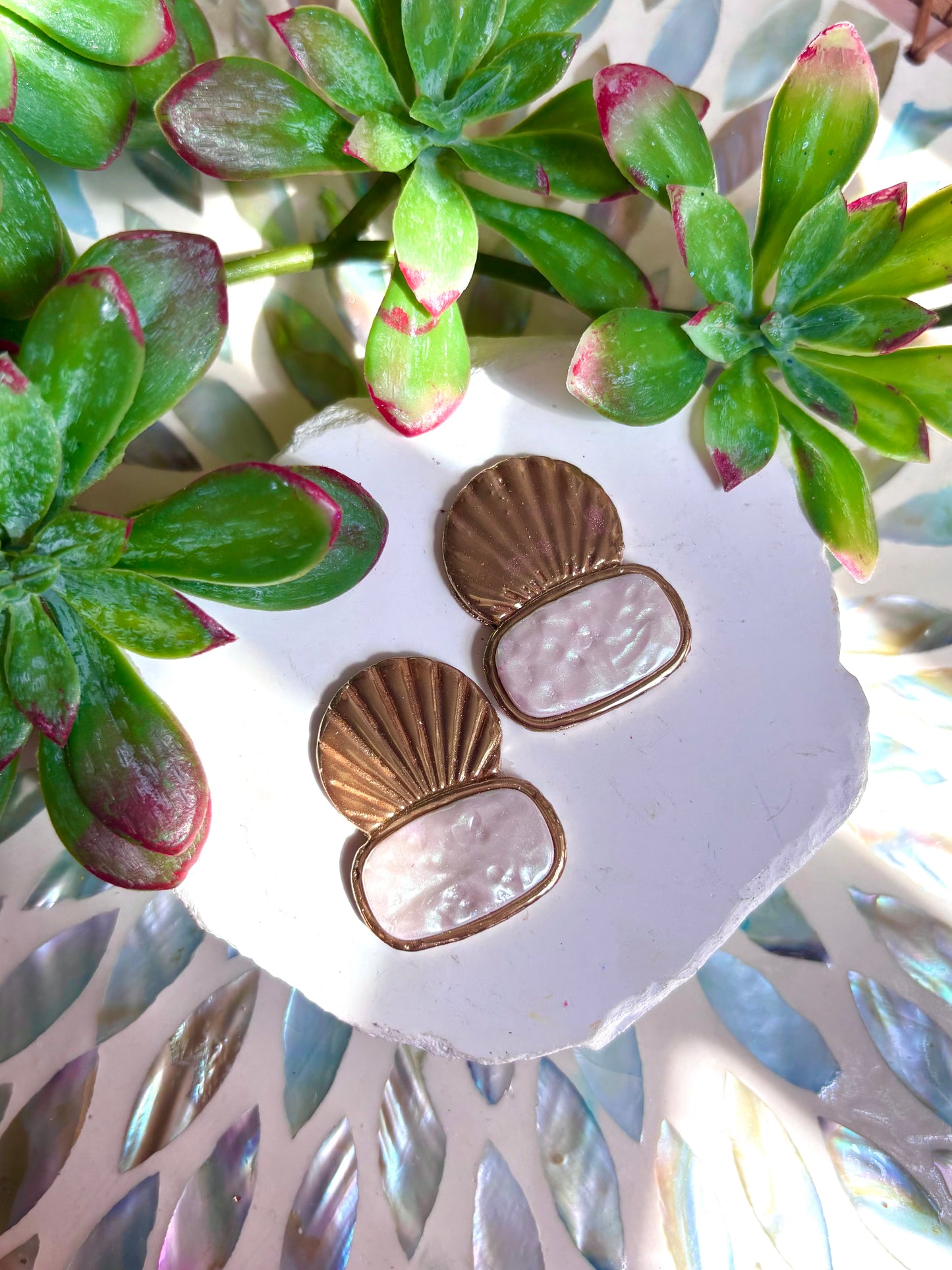 Bougie Shell Bezel Cutter