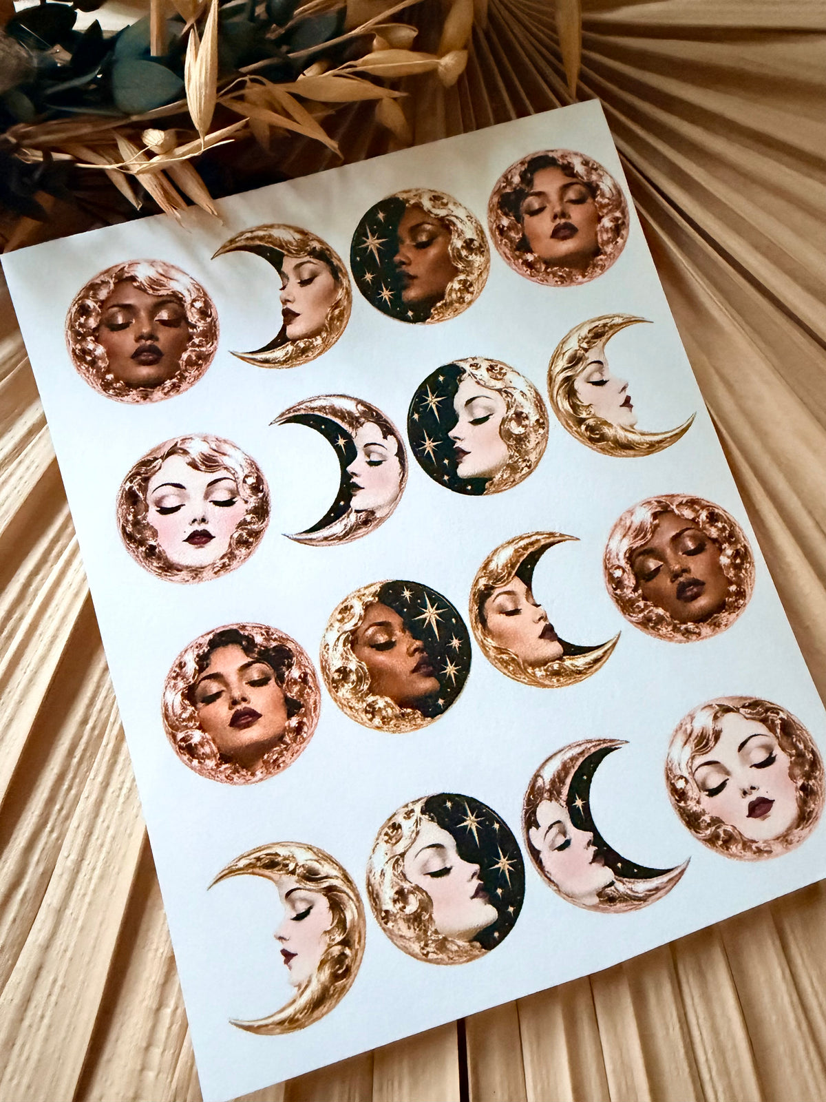 Moon Mavens Transfer Papers