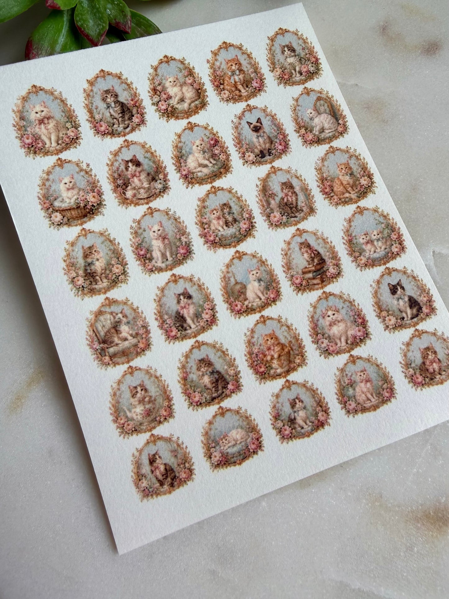 Rococo Kitty Transfer Papers