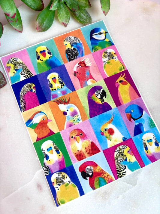 Parrot Squares Transfer Papers