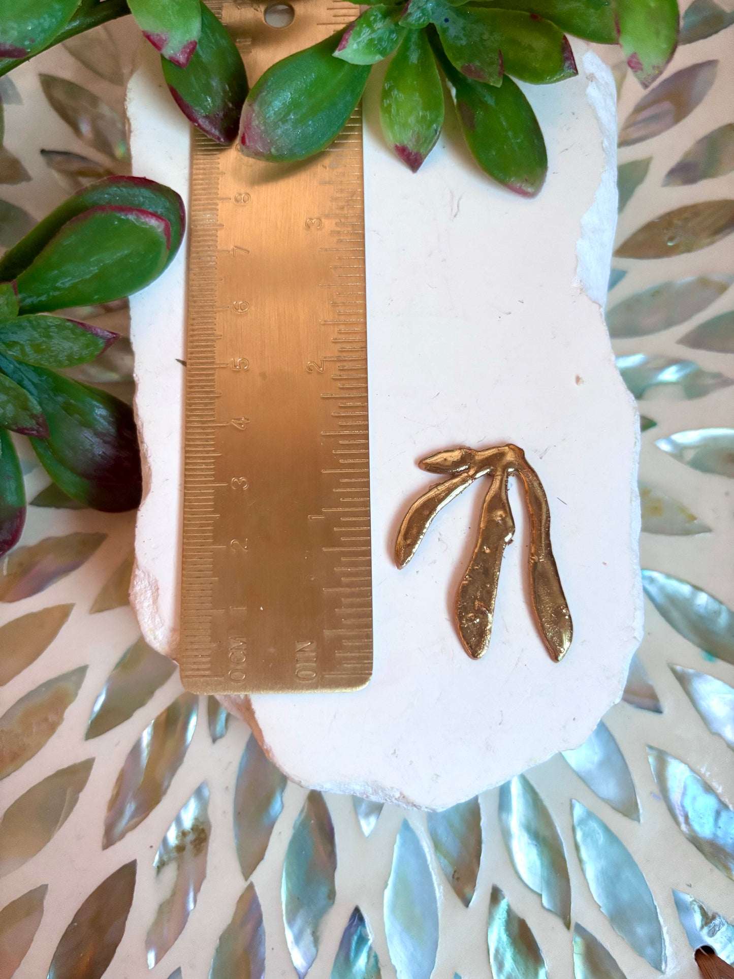 Seaweed Cutter Set
