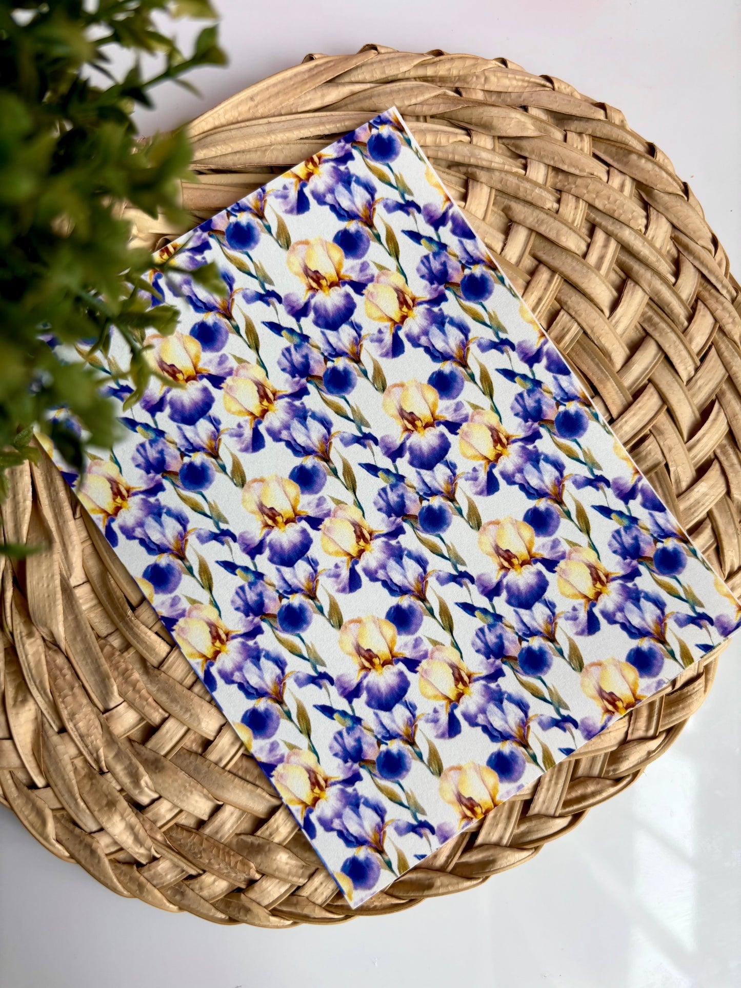 Purple/yellow Iris Transfer Paper