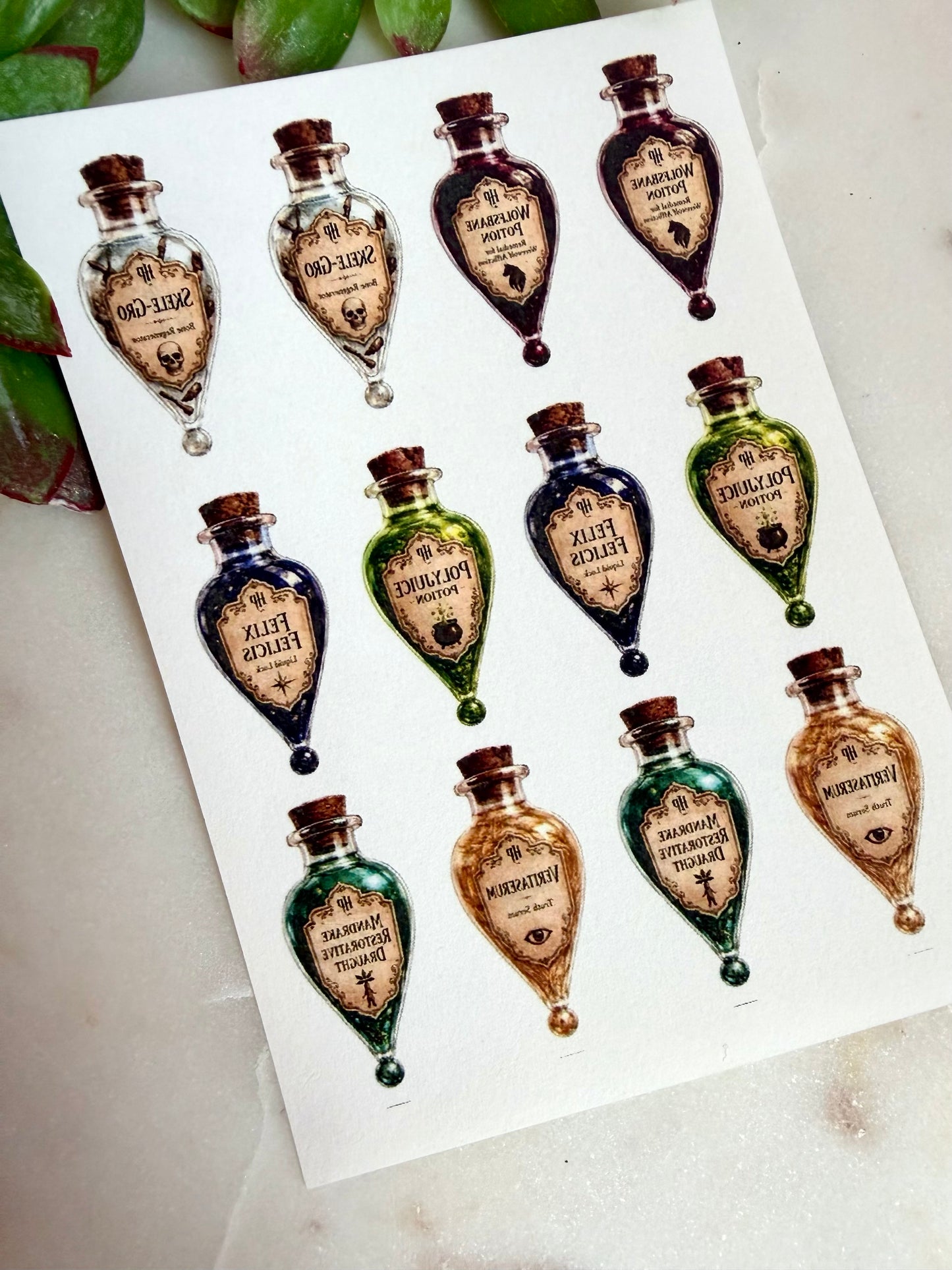 Potions Class Cutter & Transfers