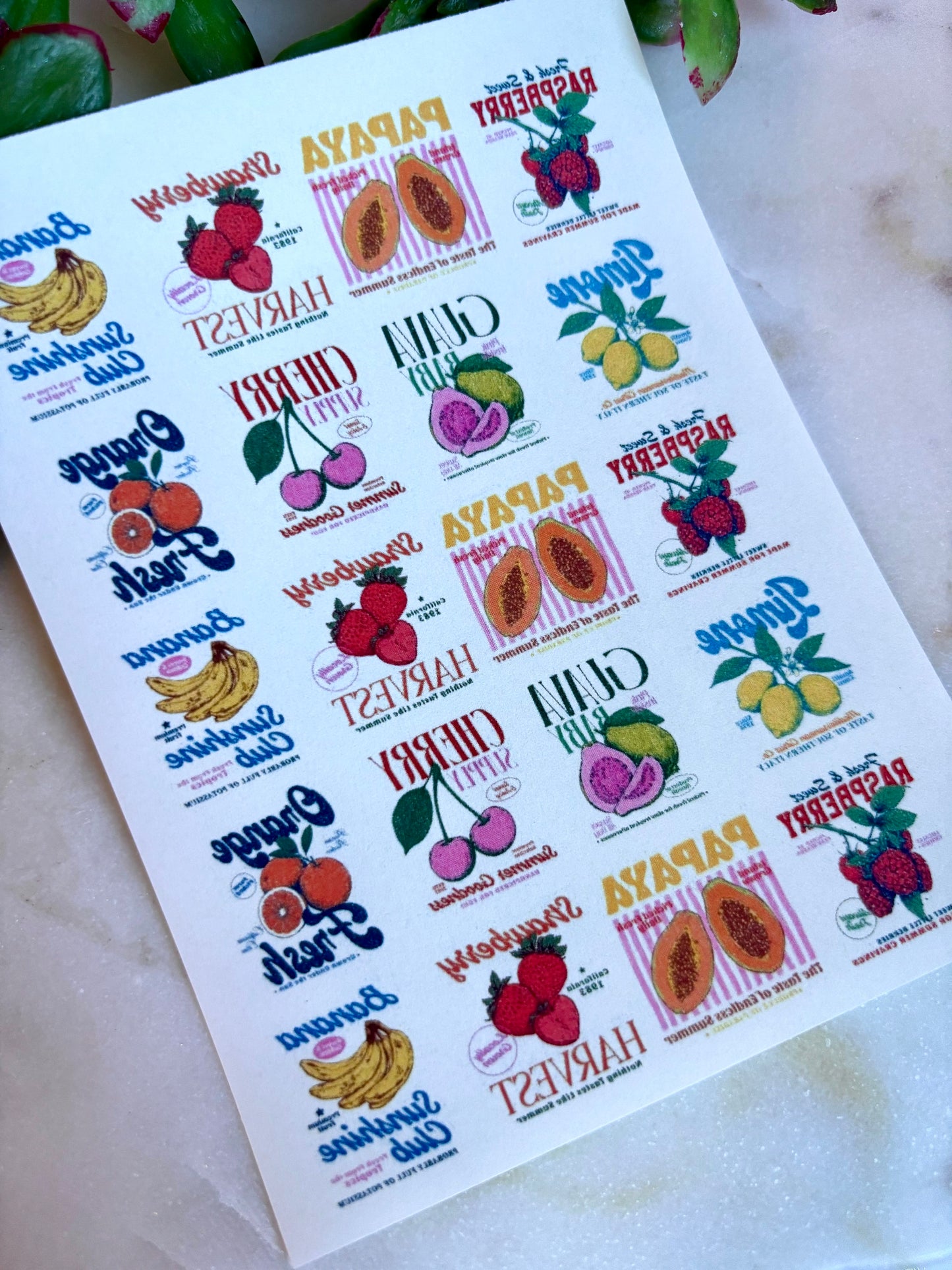 Retro Fruit Sign Transfer Paper