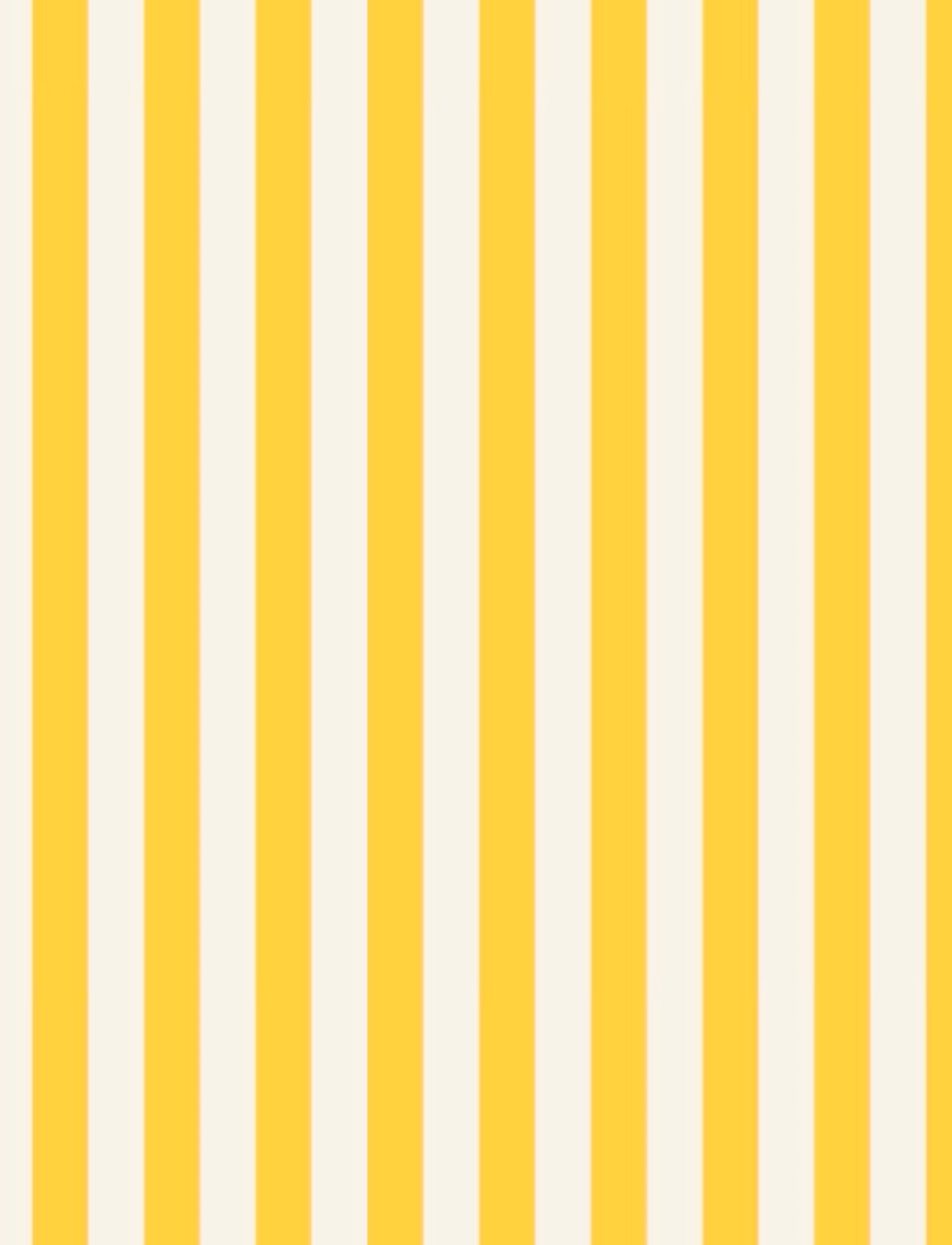 Spring Stripes-assorted colors- transfer paper