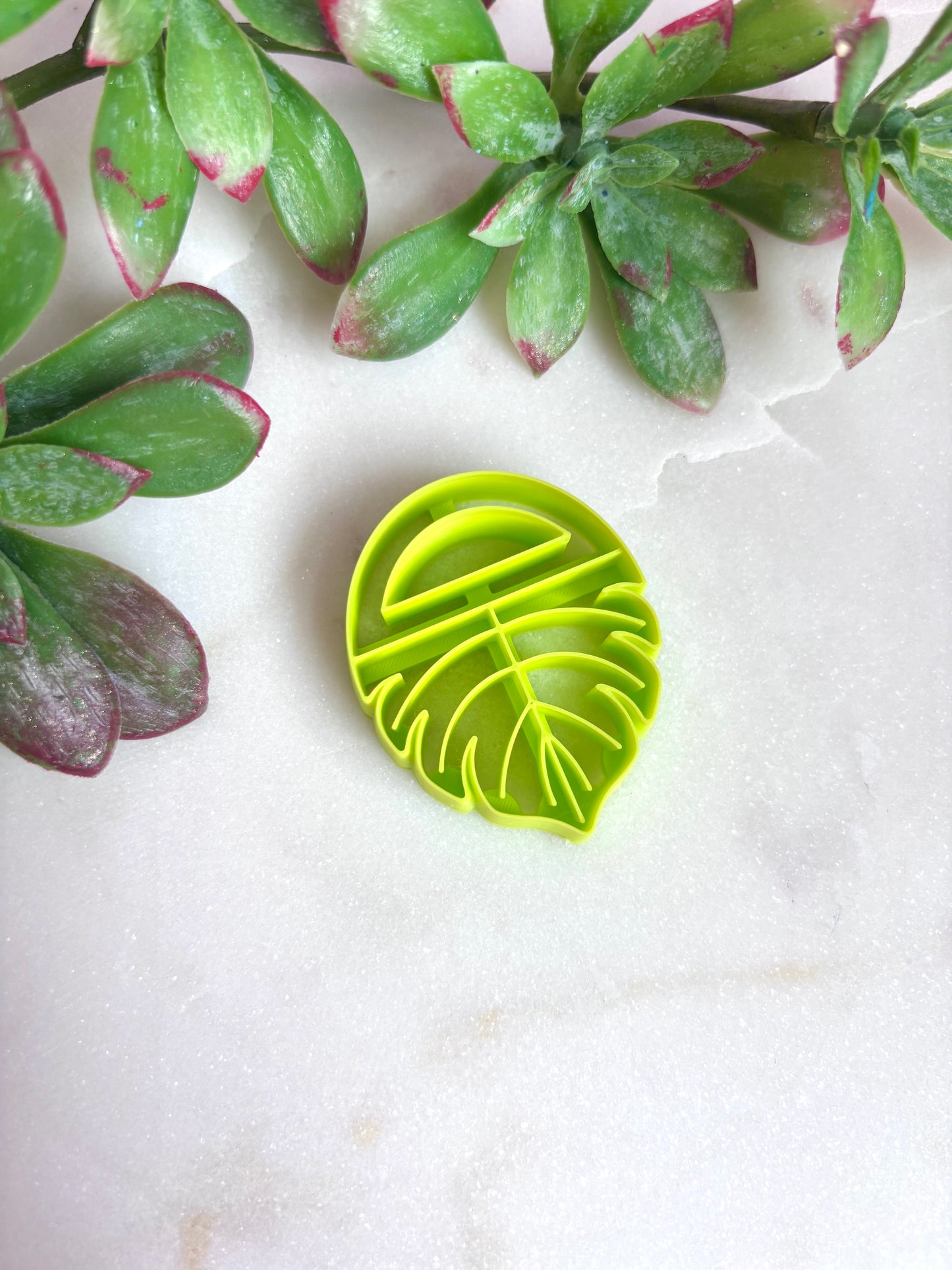 Monstera Hoop Cutter