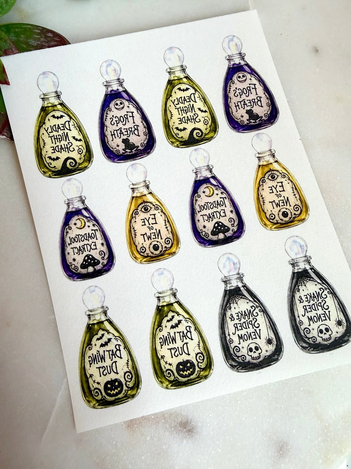 Sally’s Apothecary Transfers & Cutter