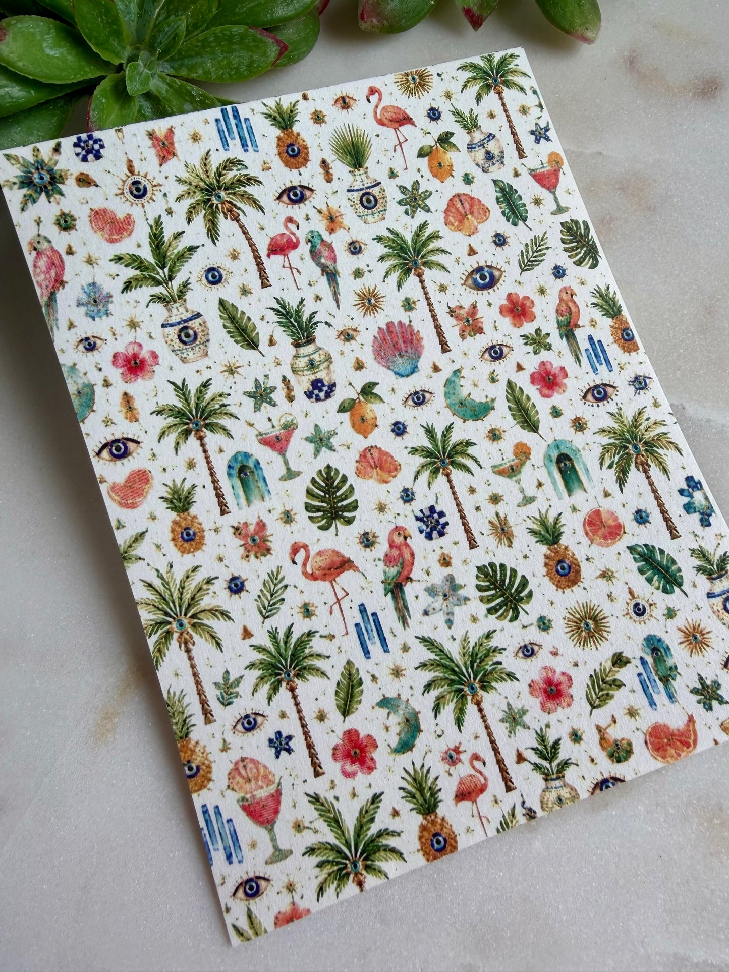 Starry Summer Transfer Papers