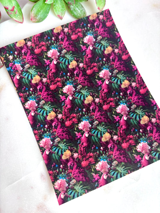 Dark Macaw Transfer Papers
