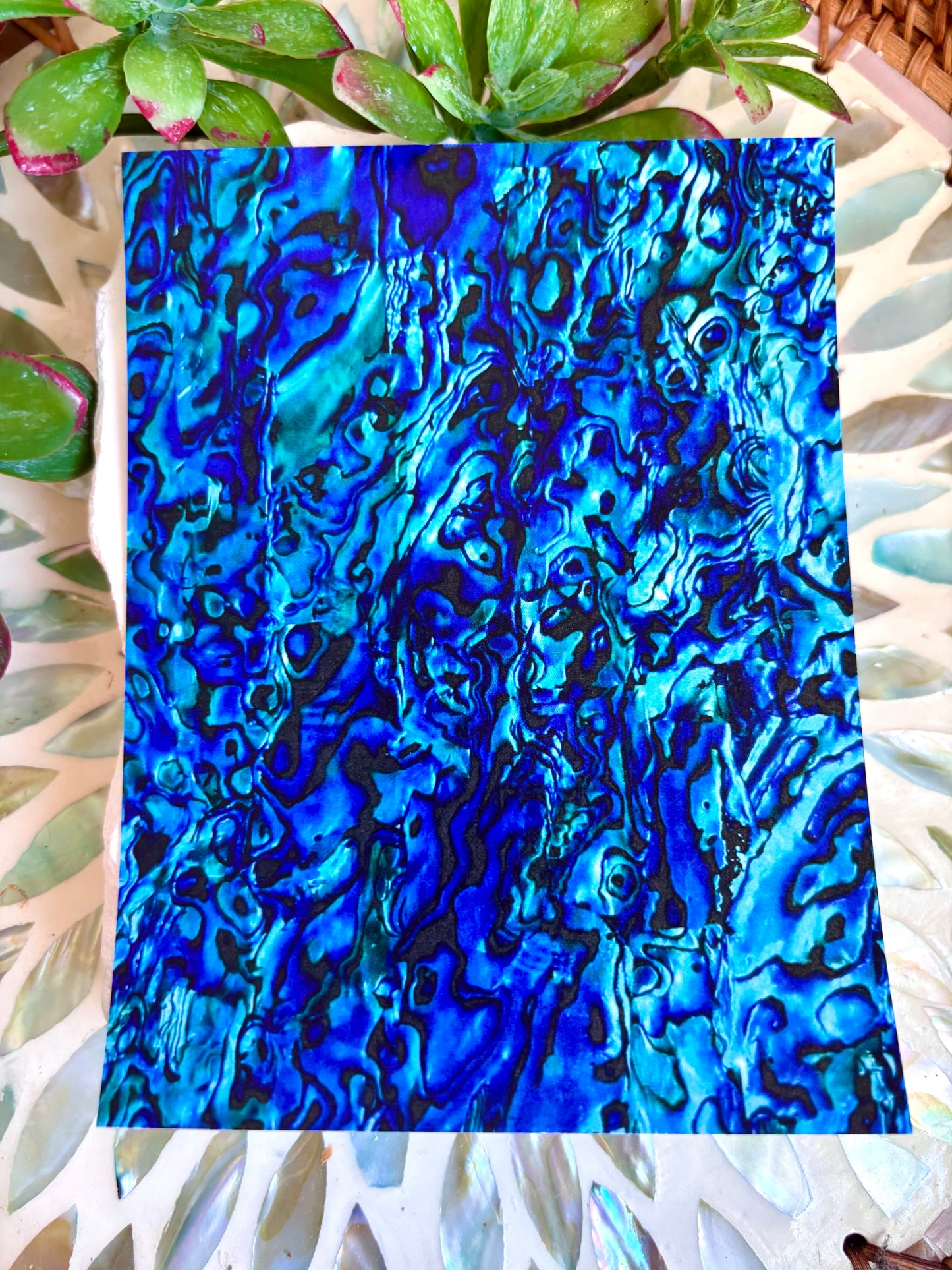 Abalone Shell Transfer Paper