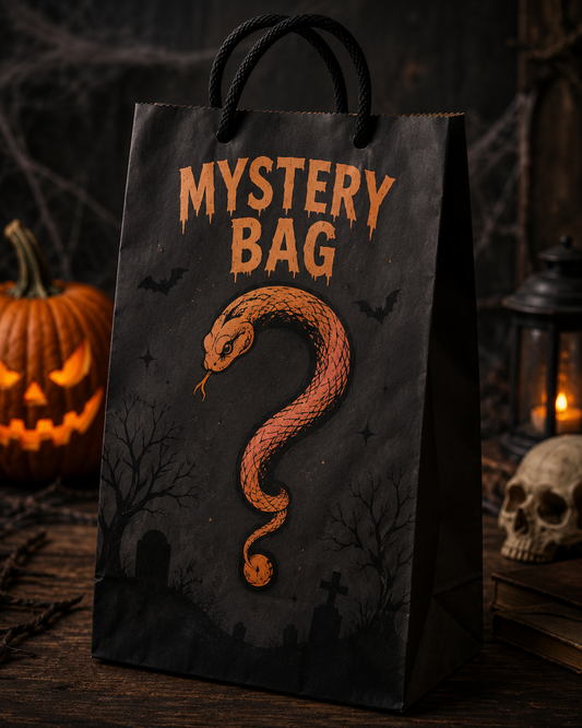 Halloween Transfer Mystery Bag