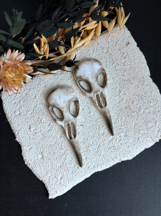 Large Bird Skull Studs